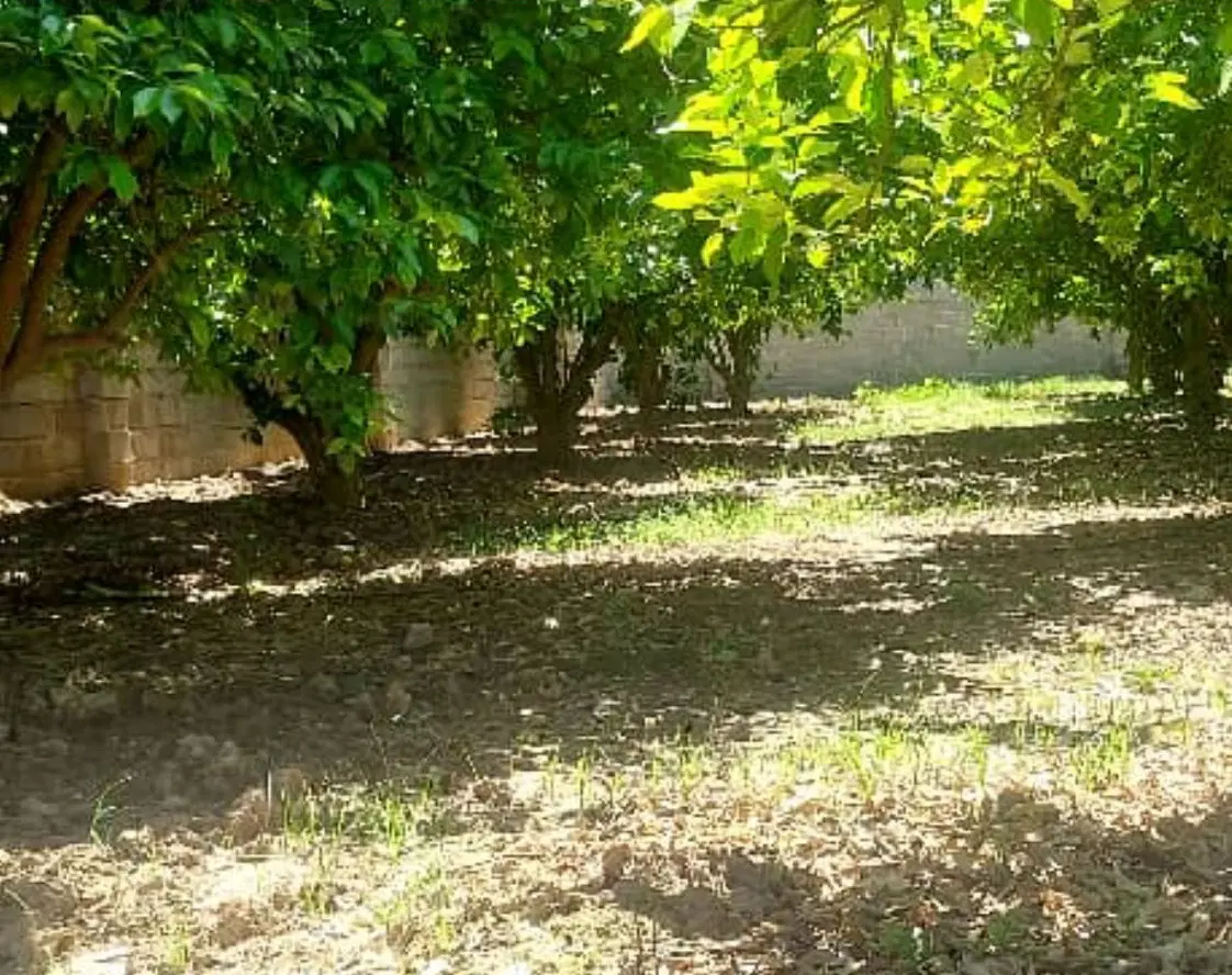 فروش باغچه ۸۰۰ متری