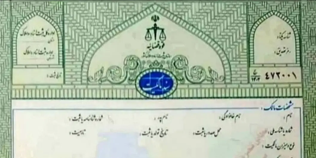 ز مین
