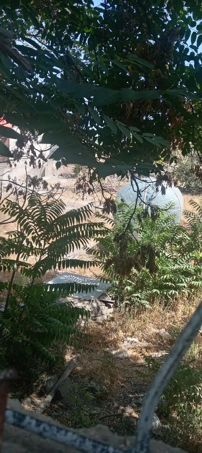 1050متر خیابان محراب