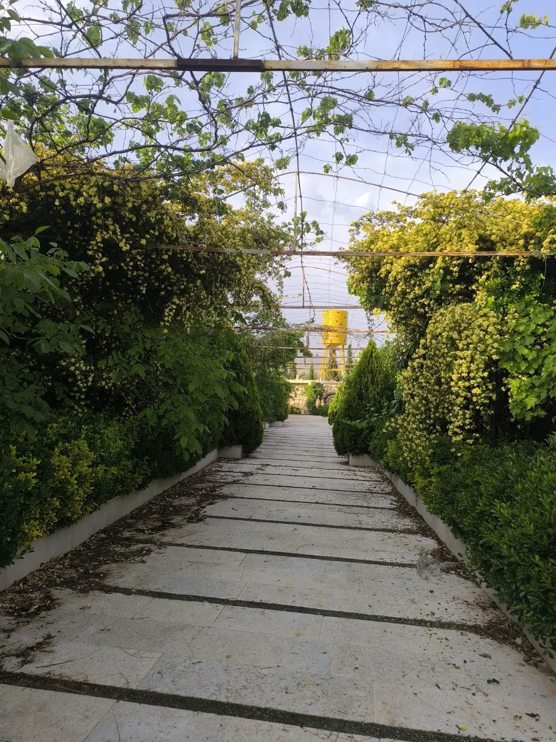 فروش باغ قلات
