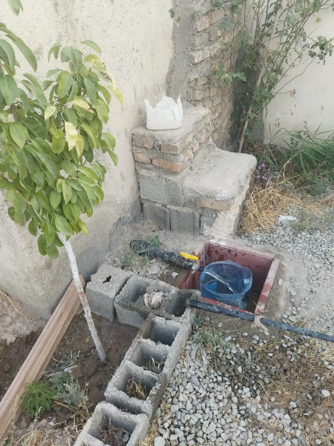 باغچه دویست متری