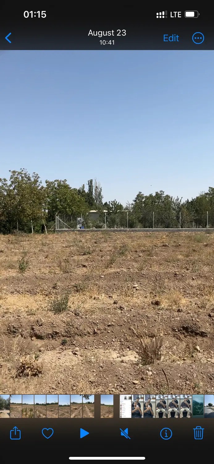 زمین باغی