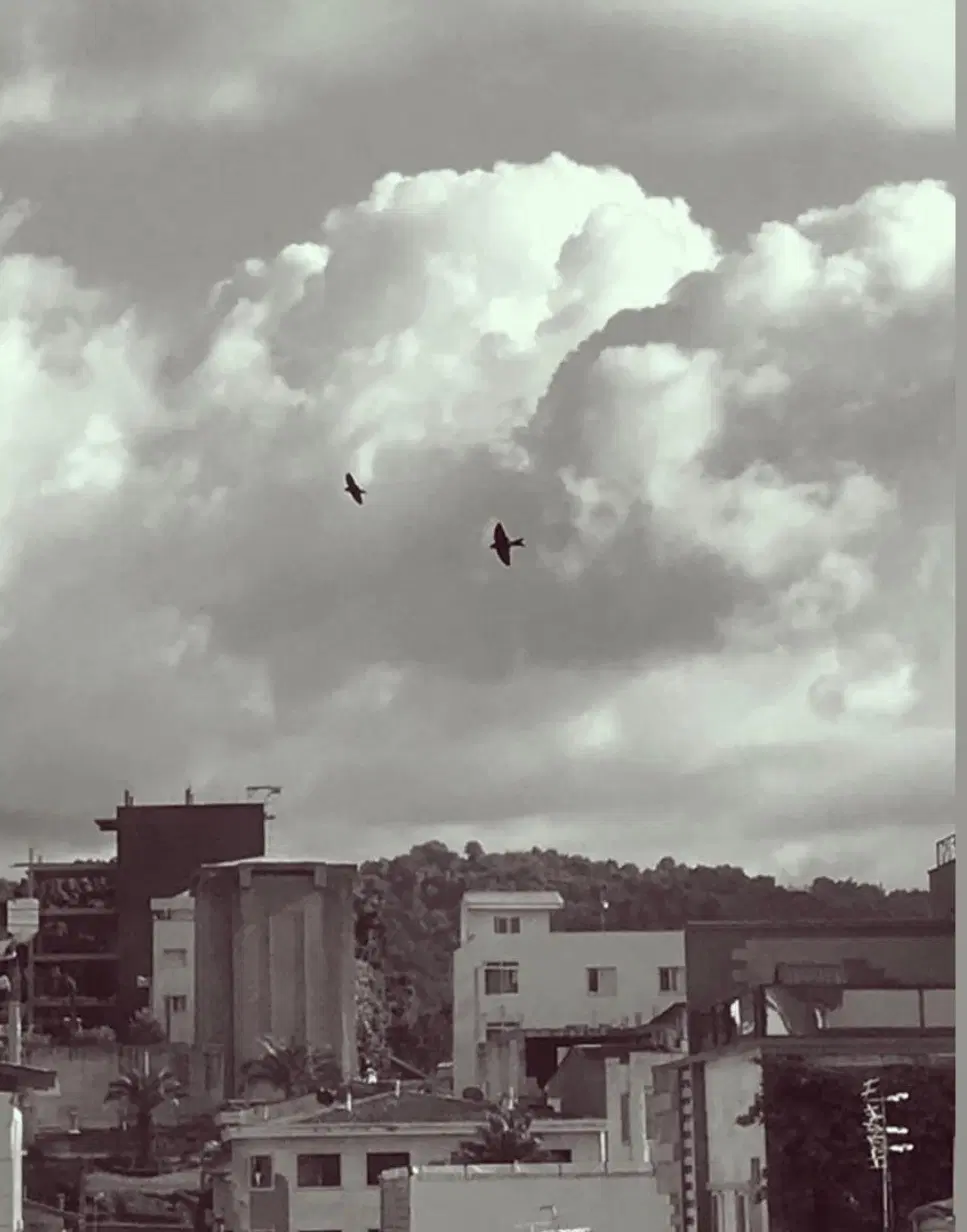 ۱۷۸ متر ، دو بر، خیابان کارگر