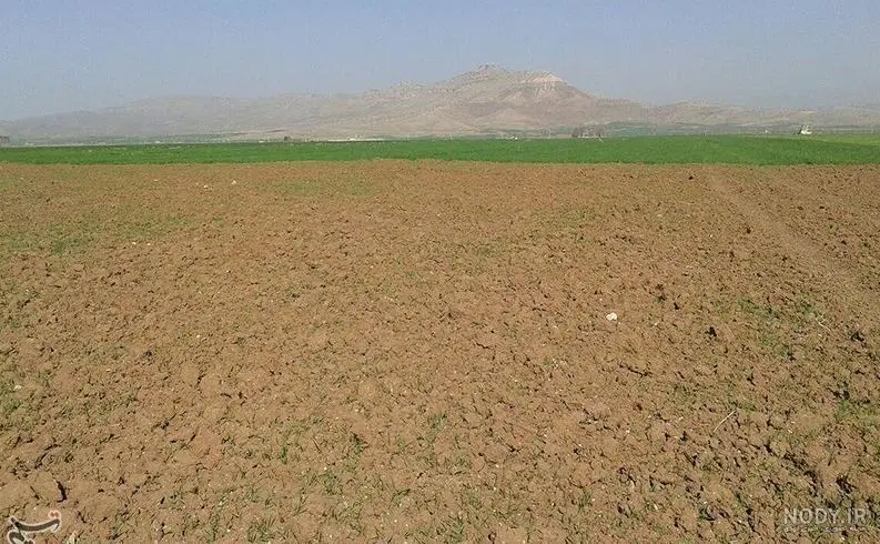 زمین فروشی دشت نورآباد2 نوش آباد