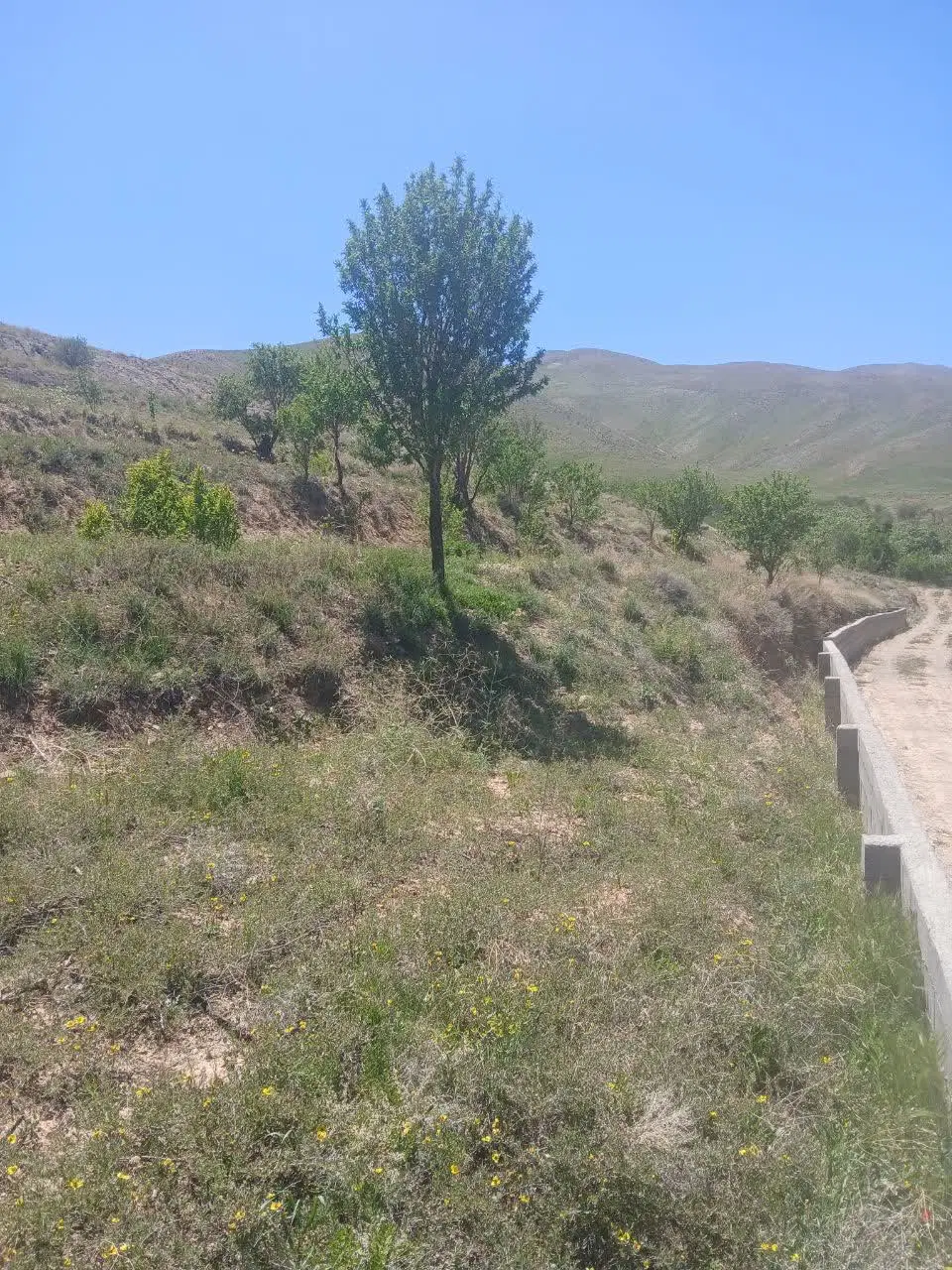 ۶۰۰مترزمین