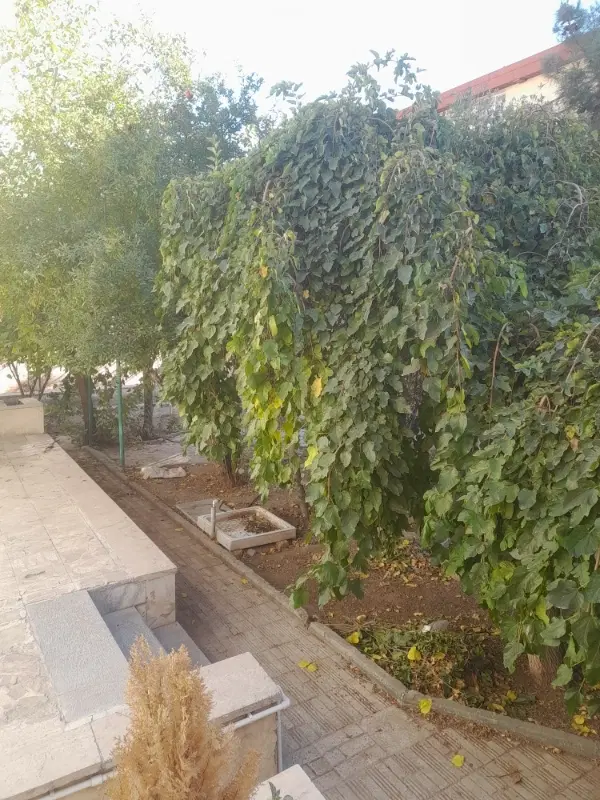 آپارتمان ۸۸ متری دانشگاه شریف