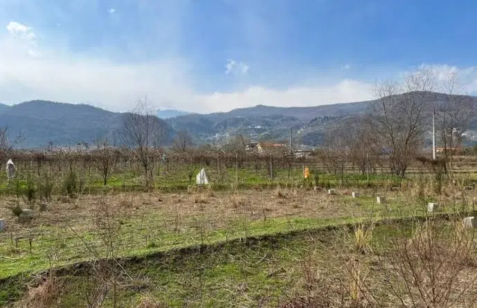 زمین ویلایی کوهپایه کرمان