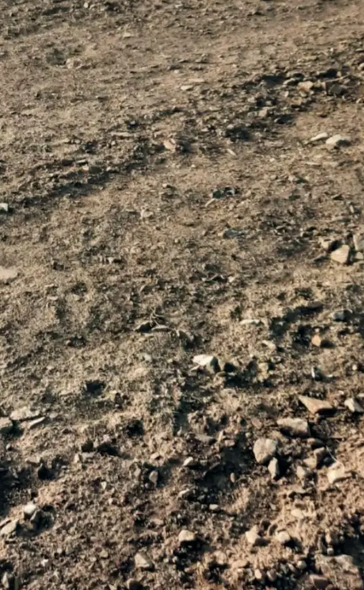 فروش زمین در روستای دهبکری