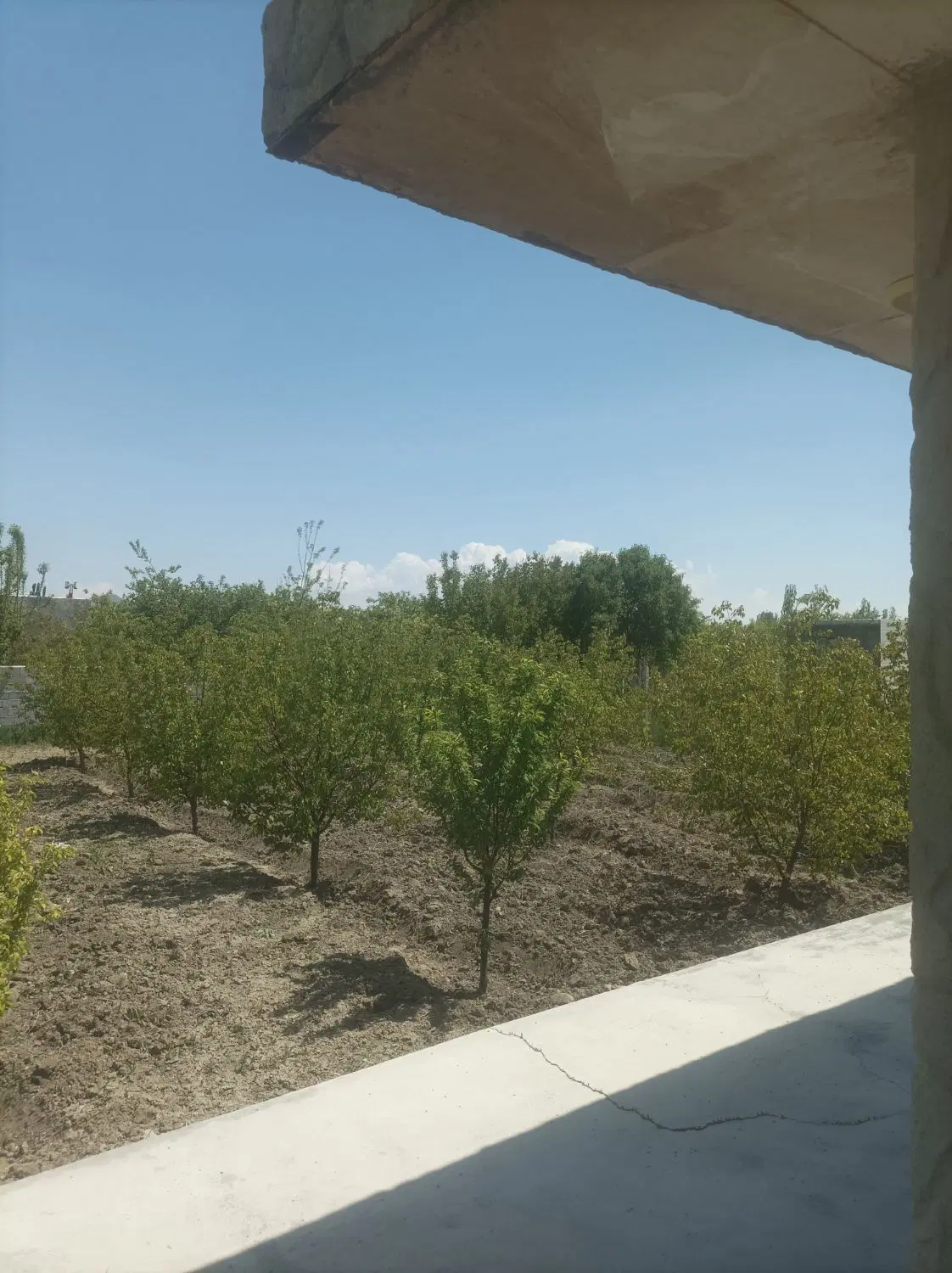 باغچه