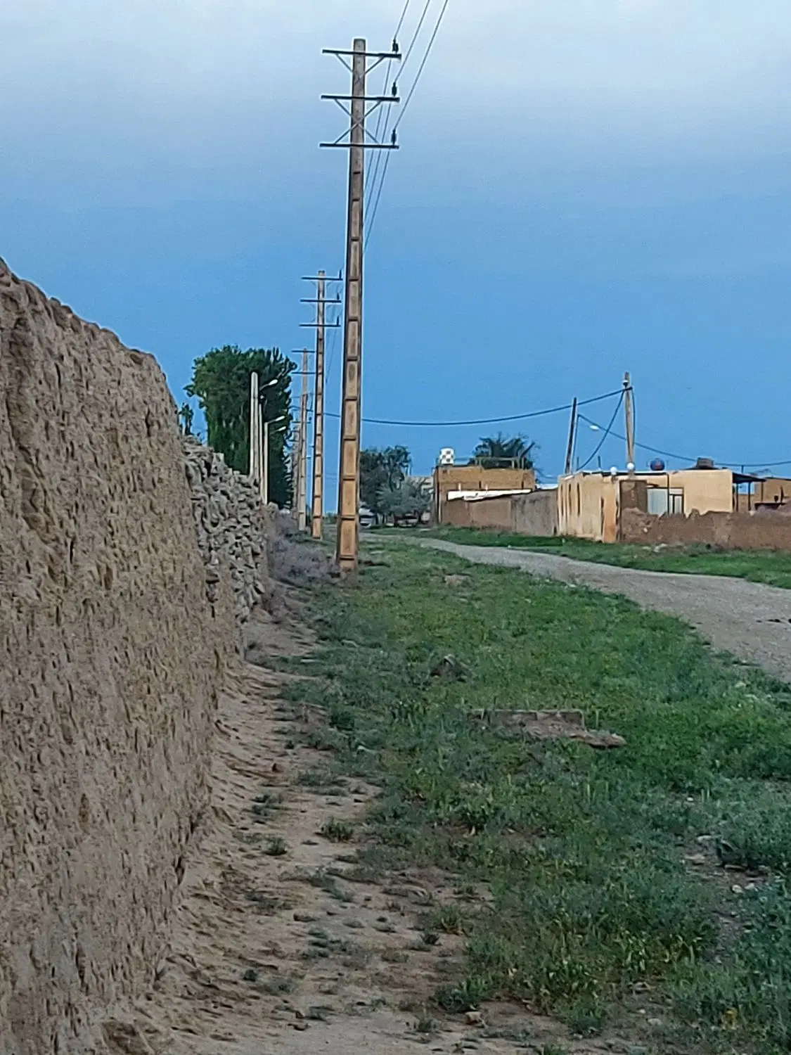 ۷۰۰۰هزار متر  هکتاری چسب بافت با دسترسی امکانات