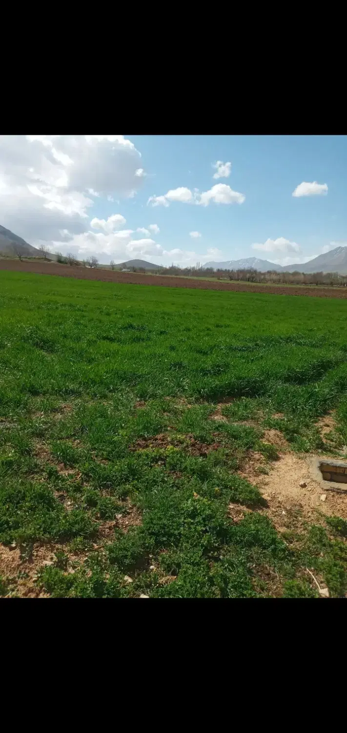 زمین کشاورزی
