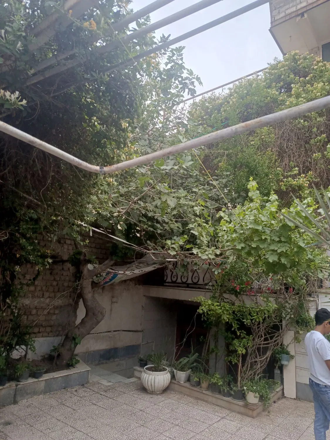 اجاره خانه ویلایی در اذر