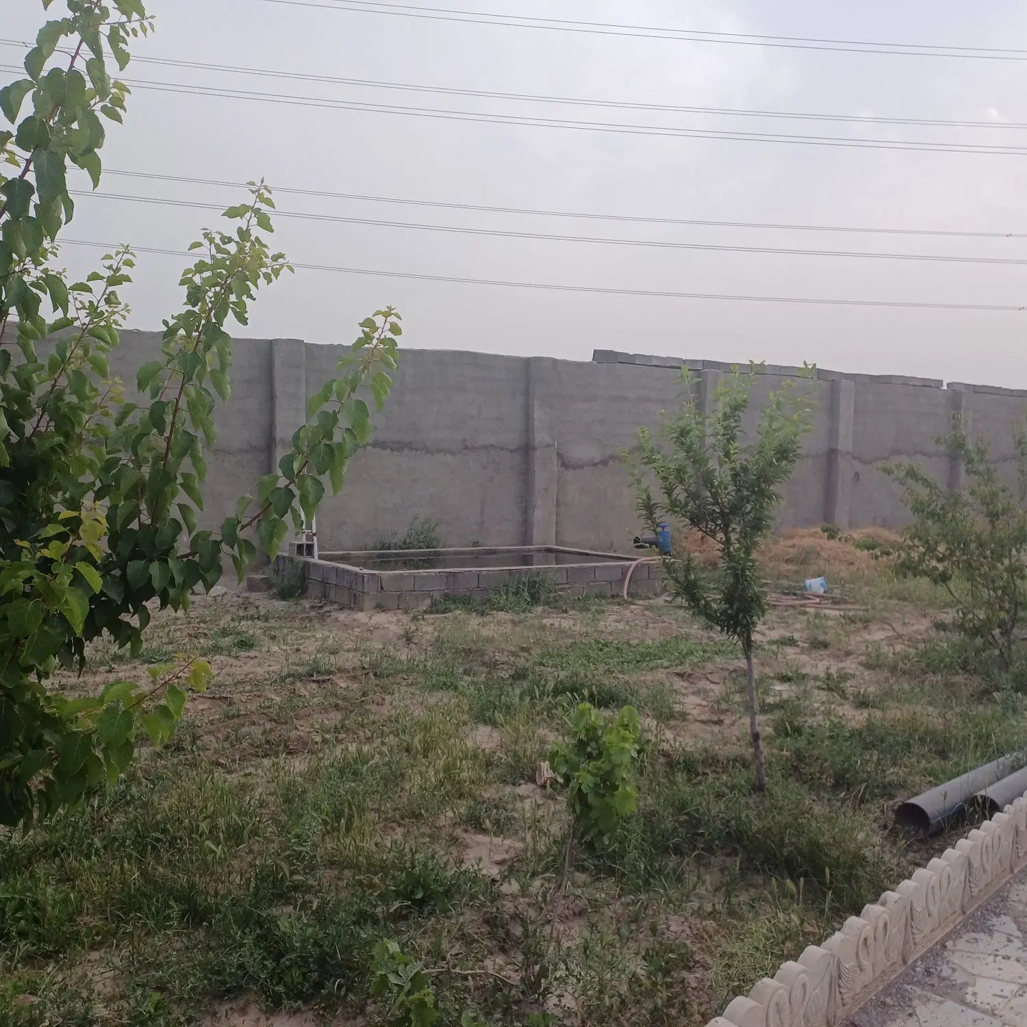 باغ با سند تک برگ باغی