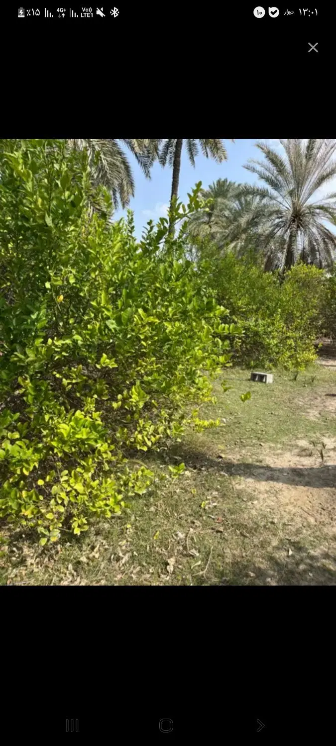 فروش زمین کشاورزی