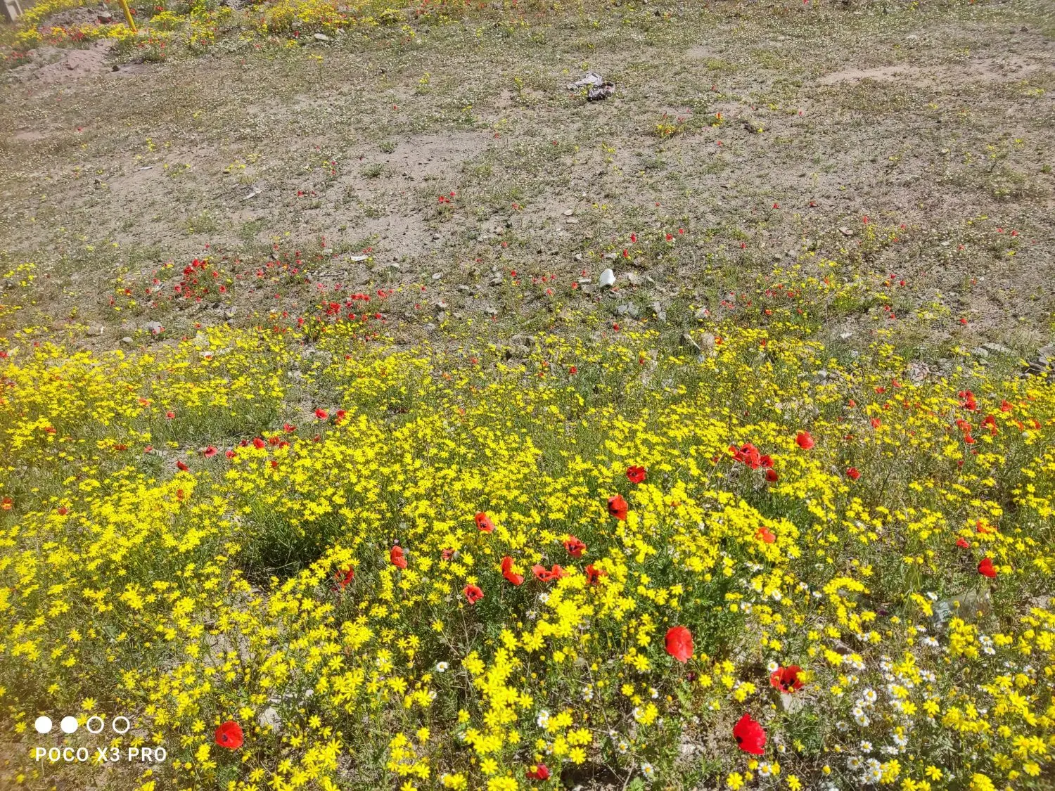 زمین نزدیک شهر جدید شهریار روستای ملک کیان