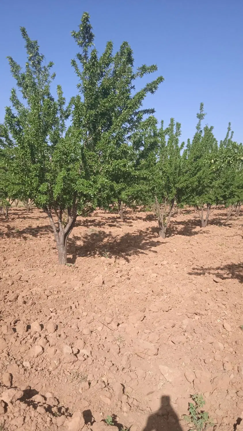 باغشهر روستای ابپرده