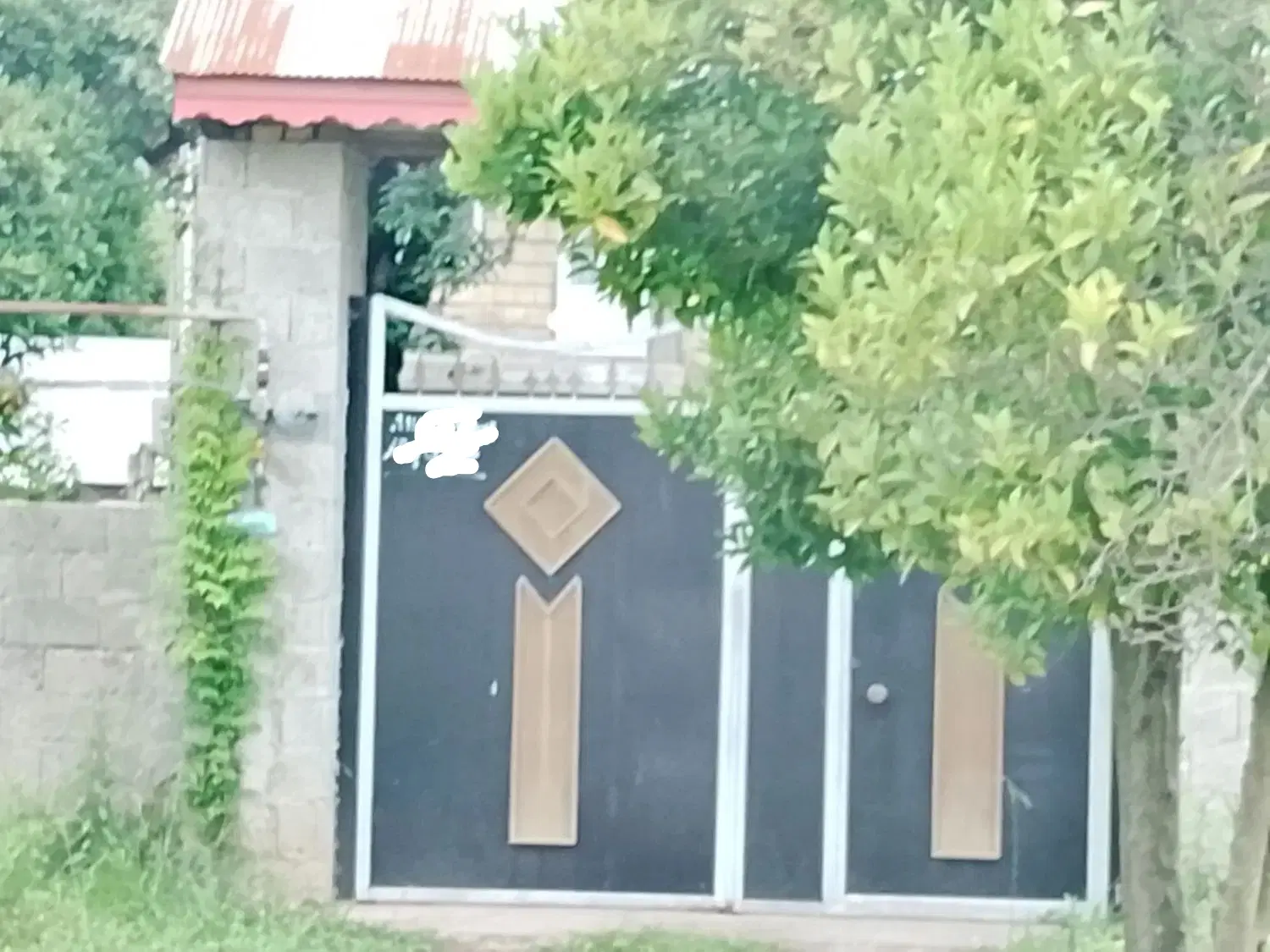همخونه