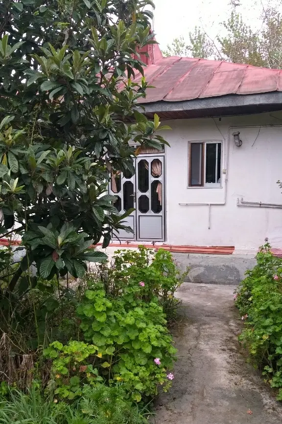 هم‌خانه