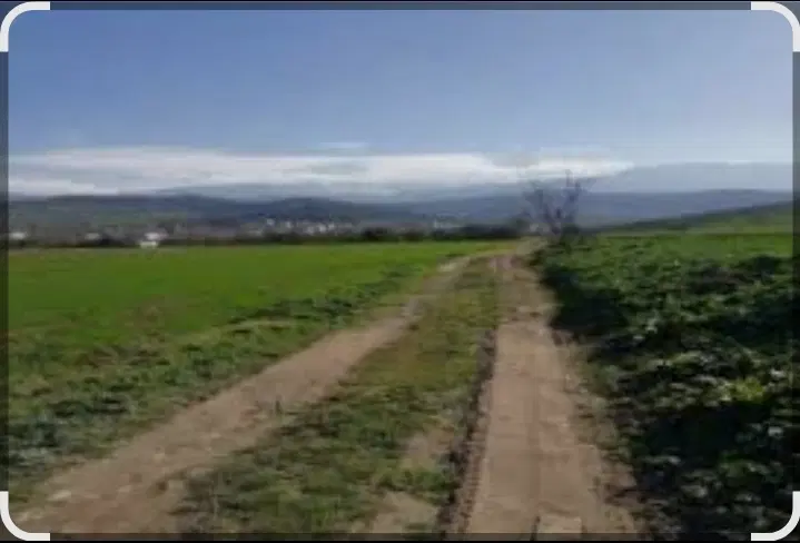 زمین کشاورزی