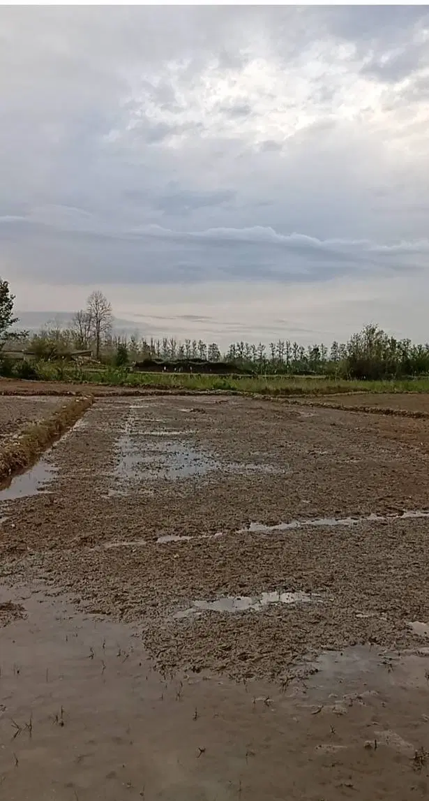 هزارمتر زمین