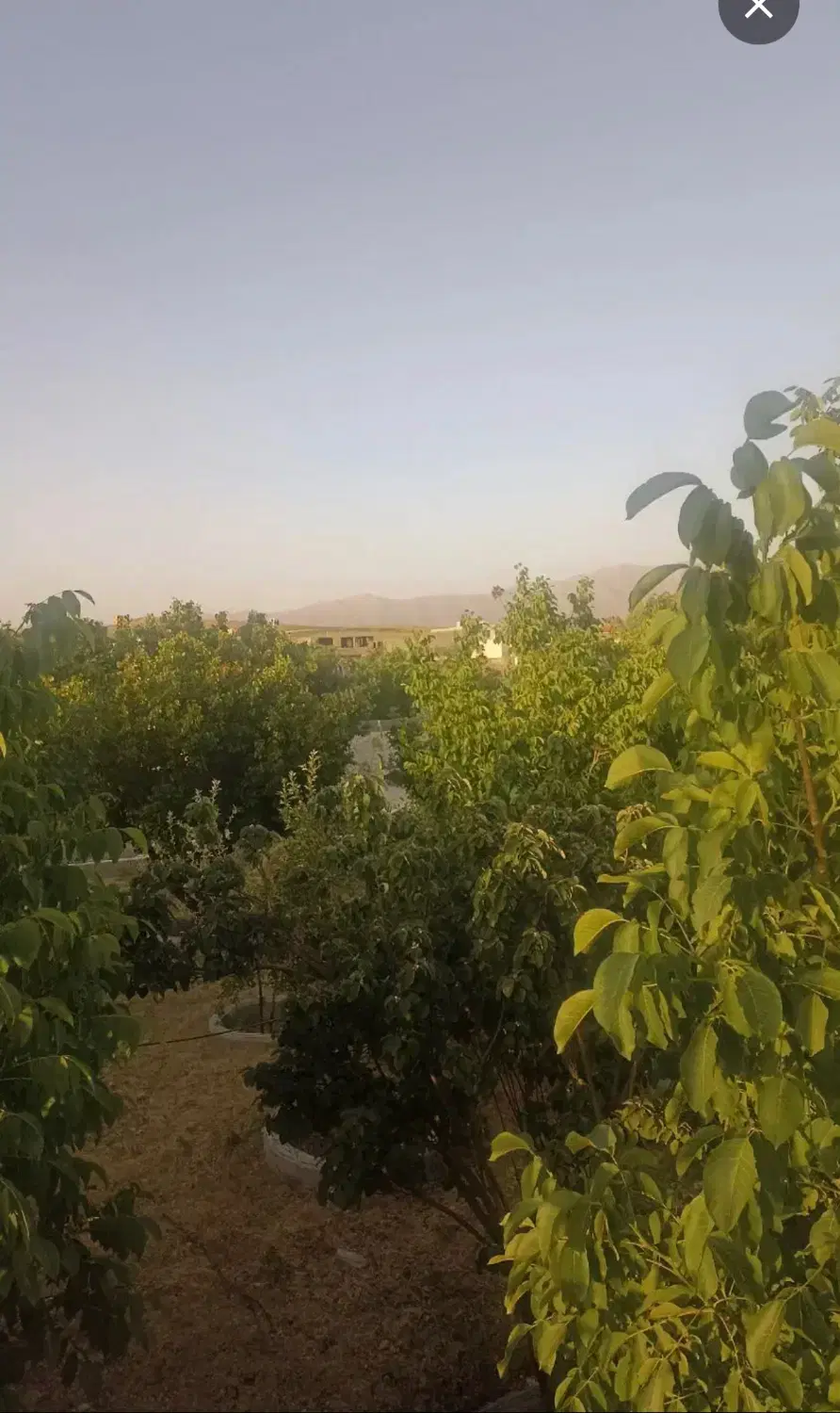 فروش باغچه فول امکانات در شهر خانه زنیان (خانزنیان