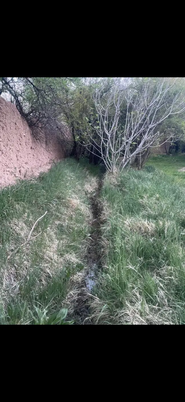 خانه باغ جوپار کرمان