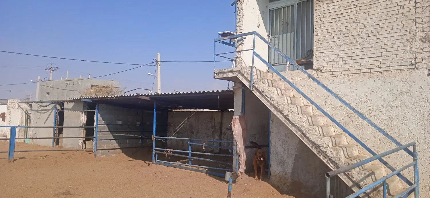 اجاره دامداری