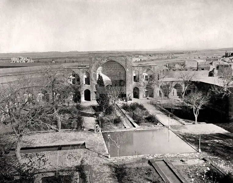 فیش زمین دادگستری