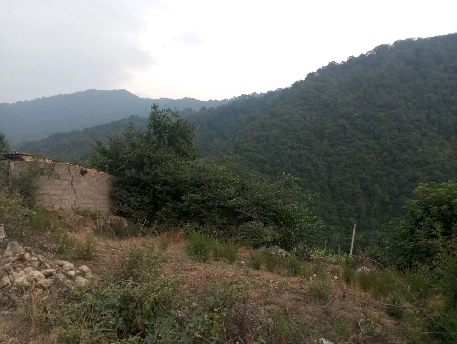 زمین فروشی روستای سوسرا