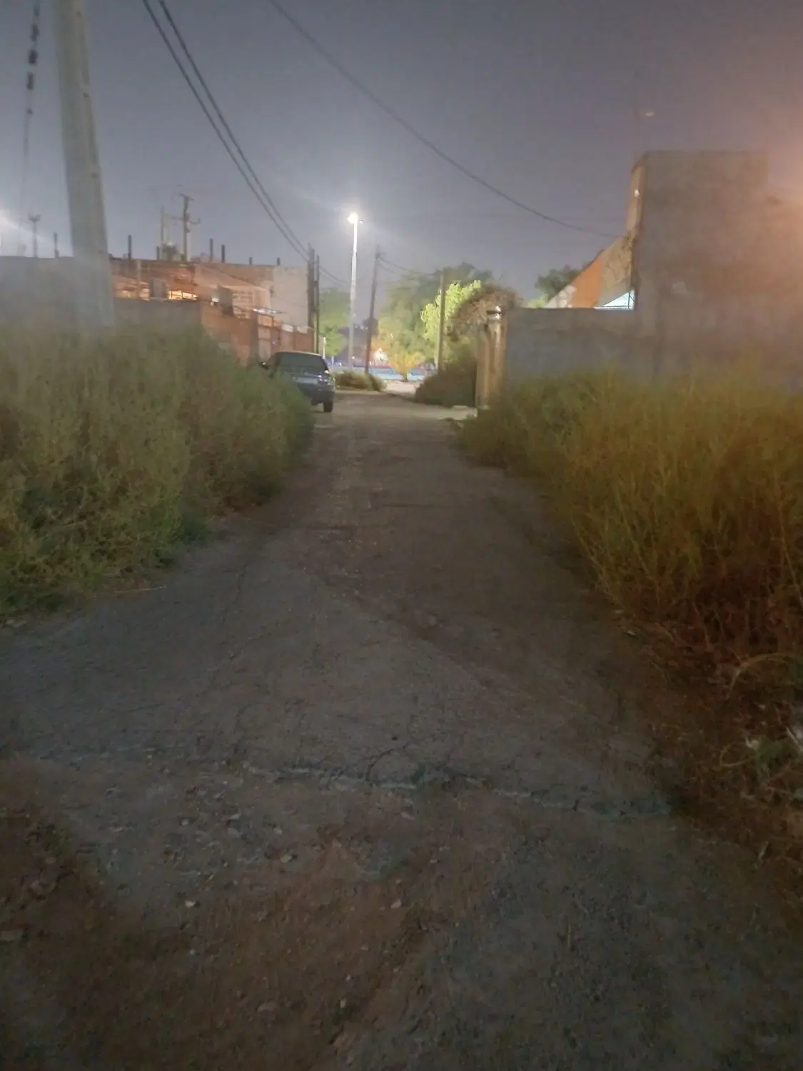 زمین کوتشیخ ساحلی