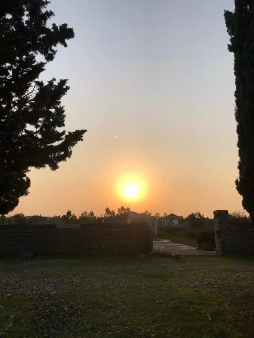 زمین ساحلی