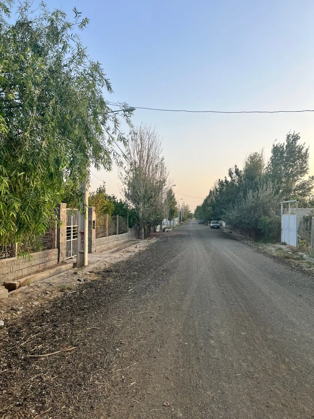 باغچه دونبش ‌_پیشک ‌یک خیابان خیری_ توضیحات