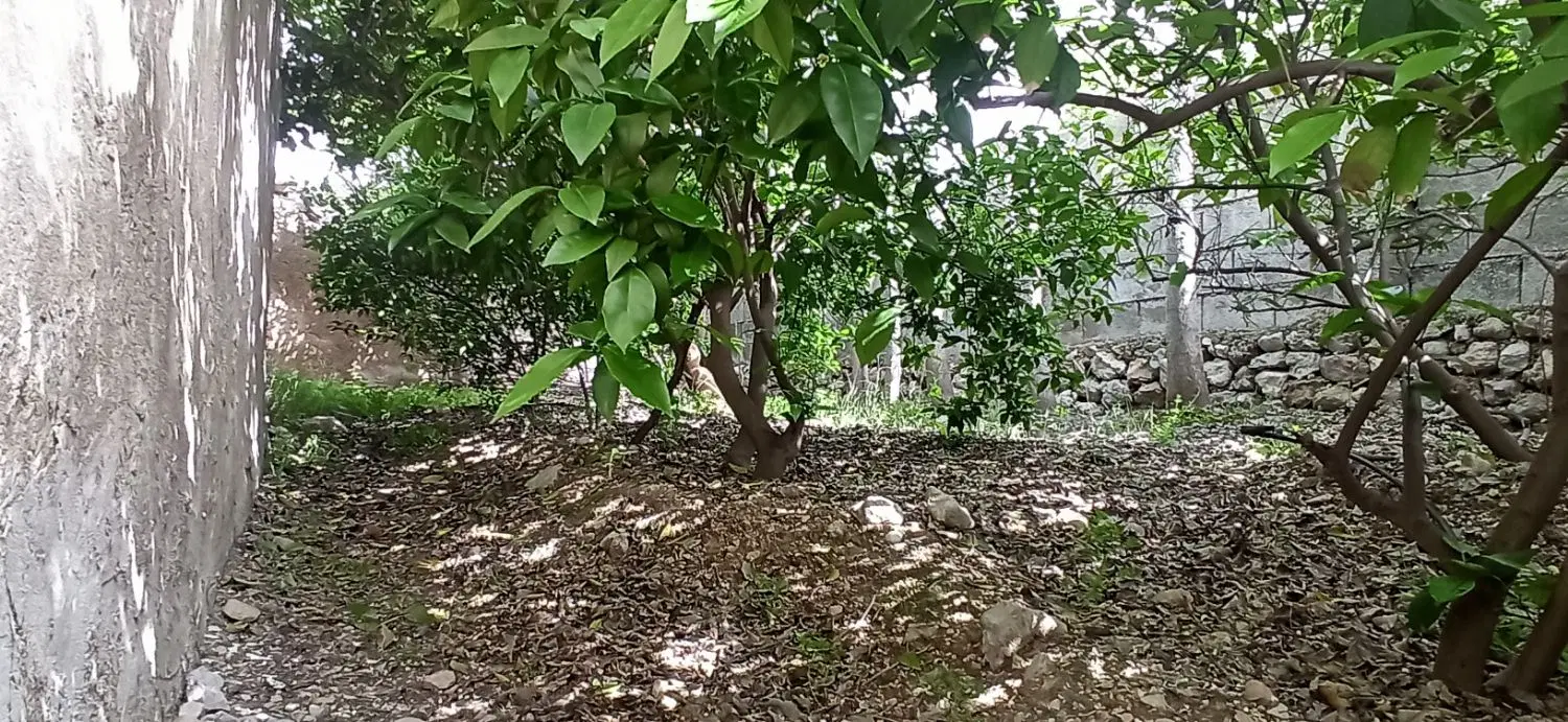 زمین مسکونی مناسب باغچه ویلا