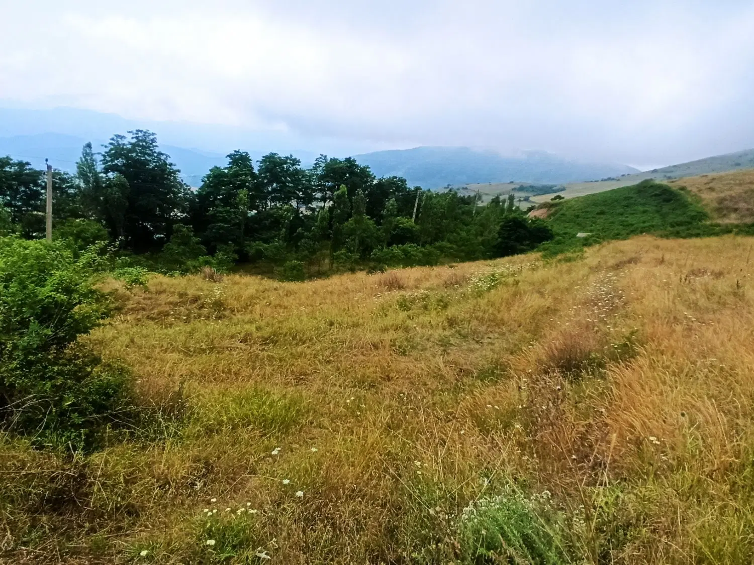 زمین