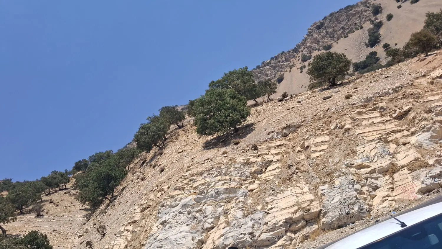 زمین کشتی