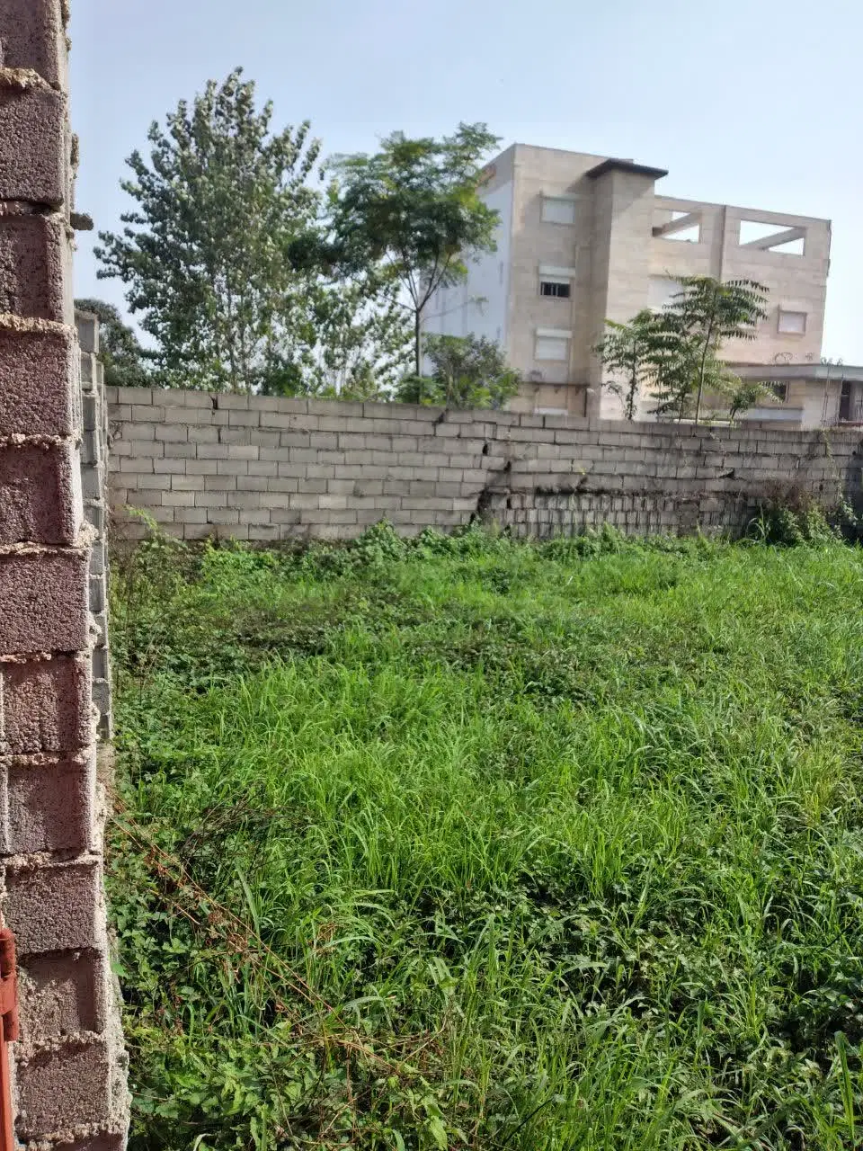 زمین سنددار تک برگ