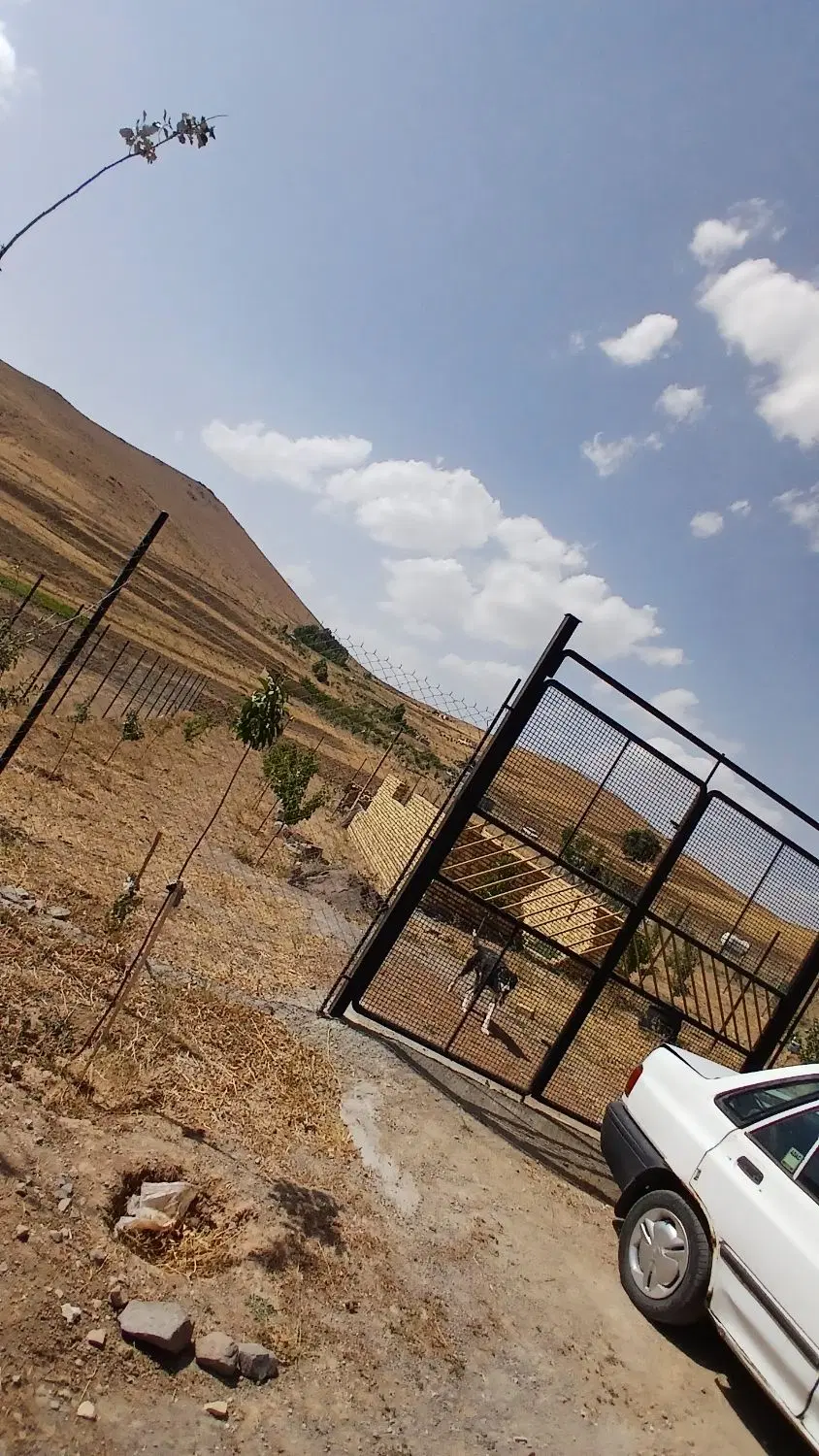 زمین باغ