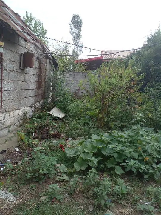 ملک کلنگی و زمین باغ در لاهیجان