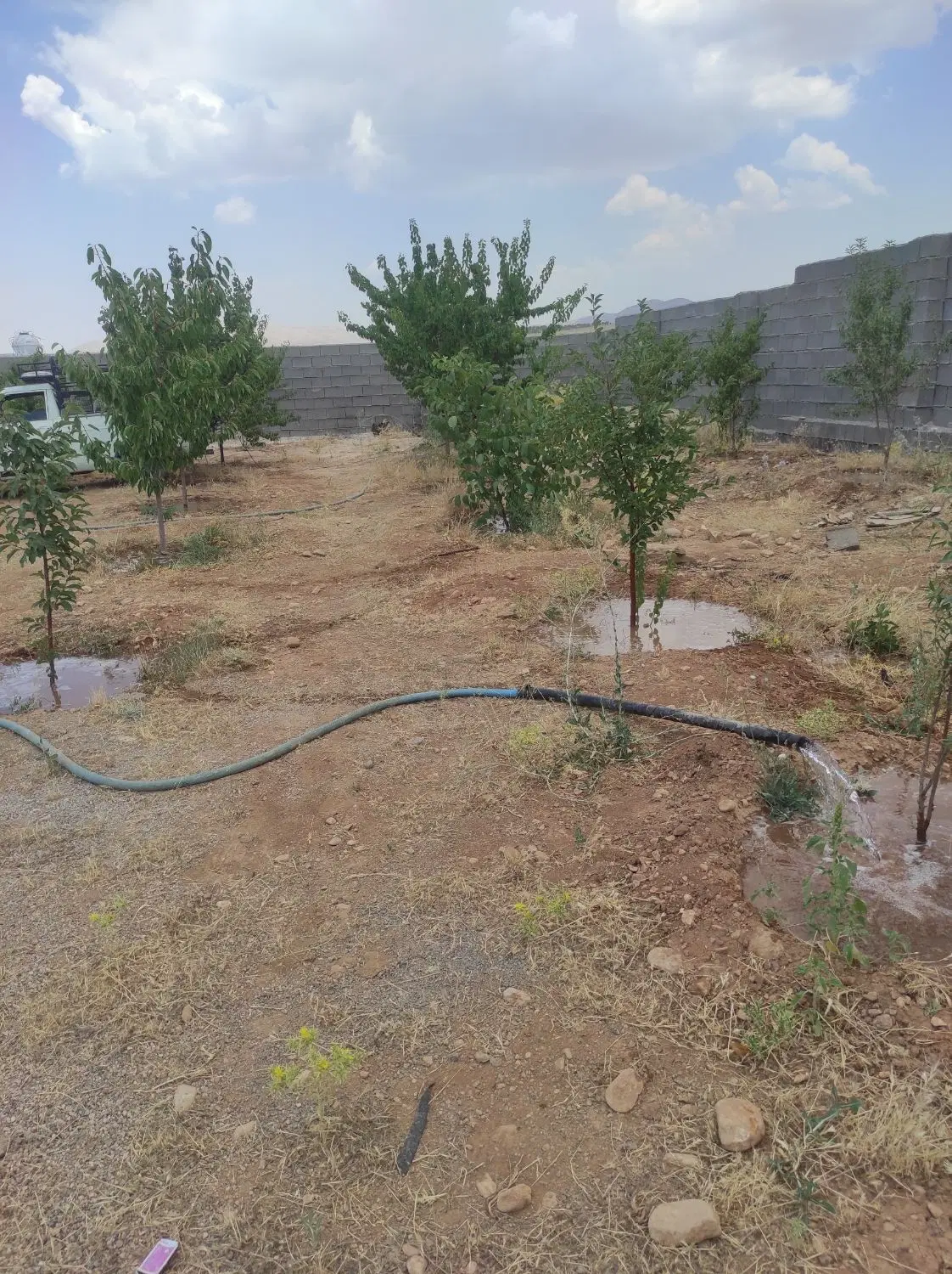 باغچه ۷۰۰ متری کودیان