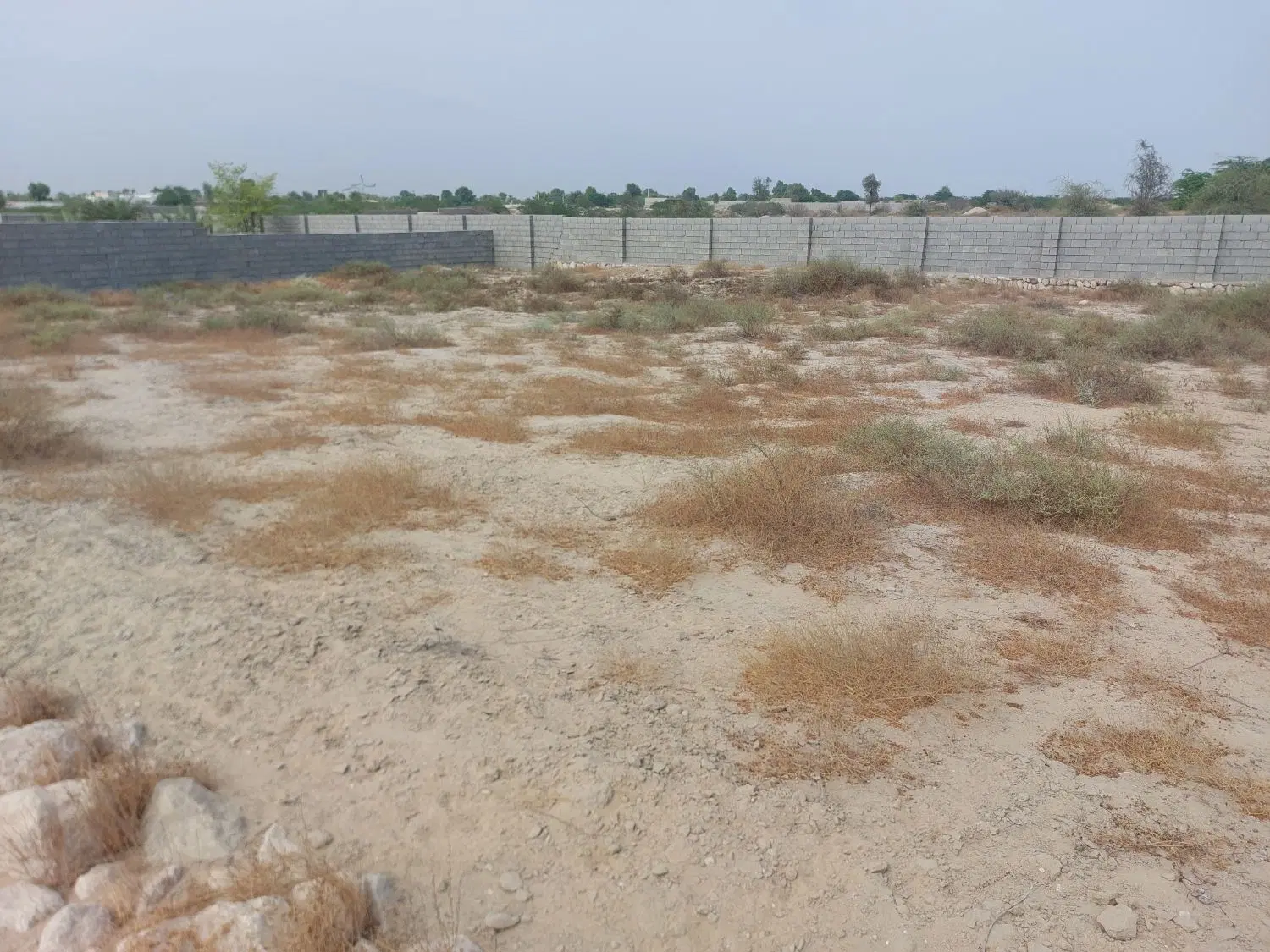 فروش زمین روستای شهرو