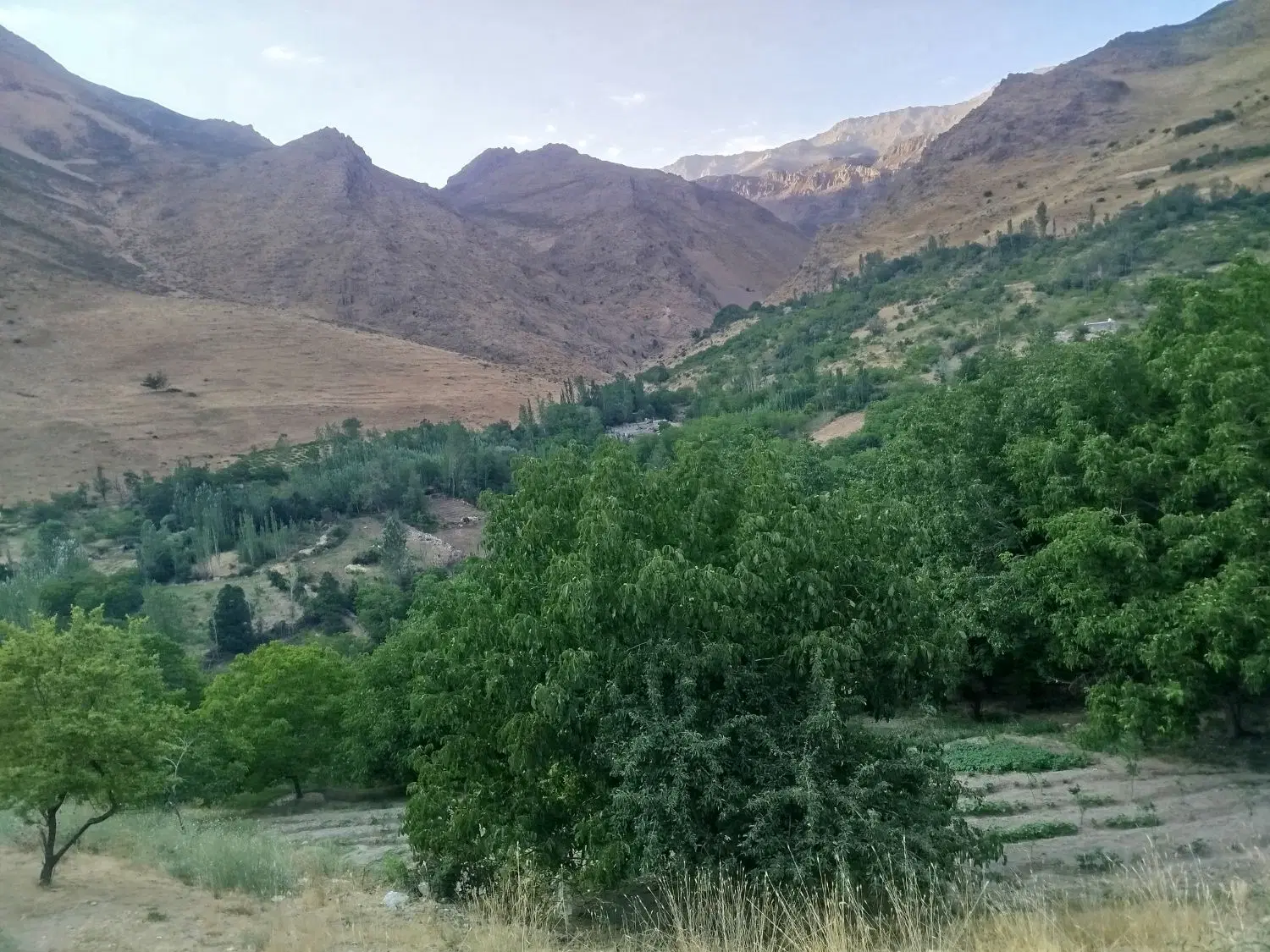 فروش زمین در روستا برای ویلا 1000 متر