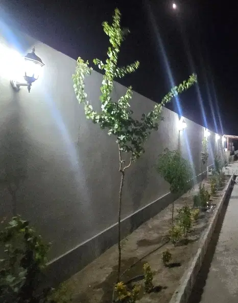 باغ ویلا