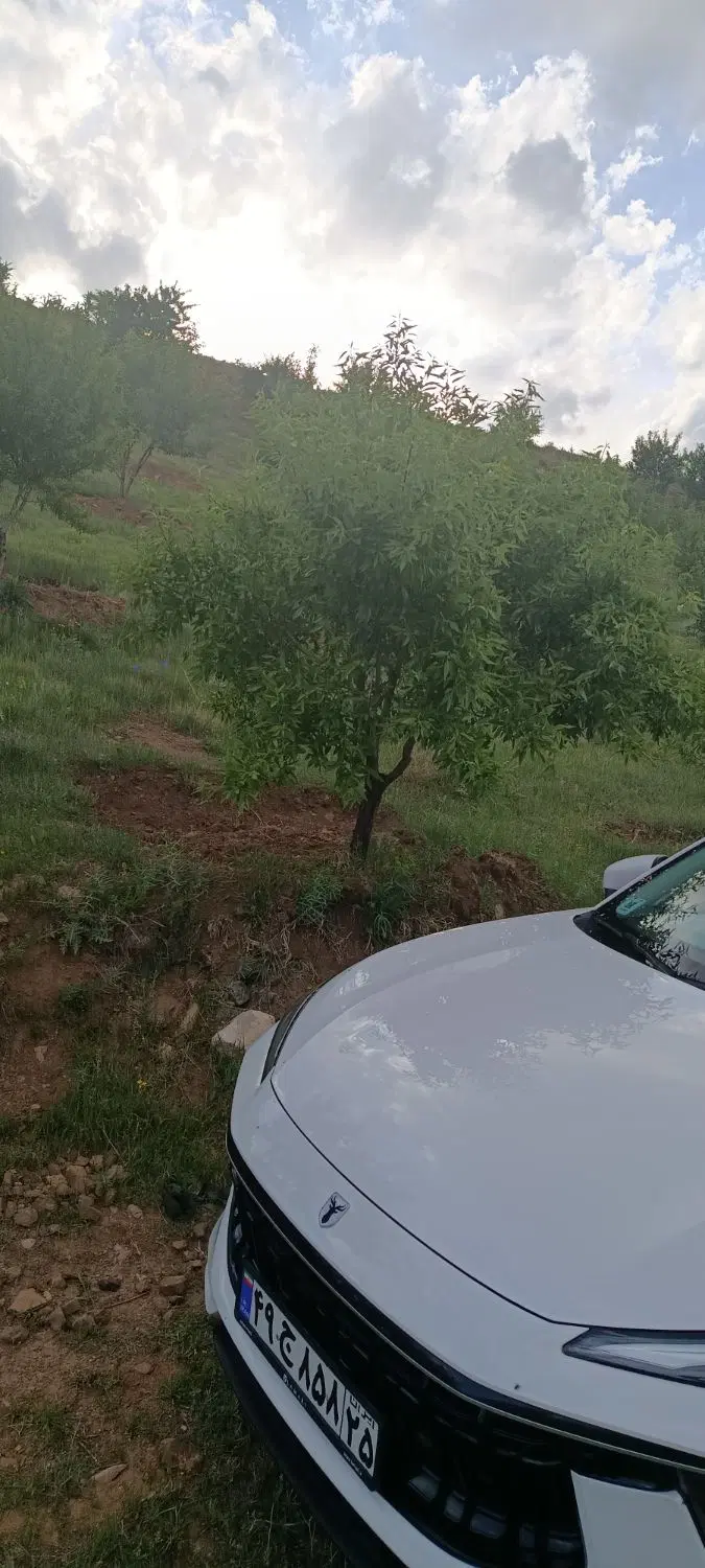 باغ بادام در روستای گلجار