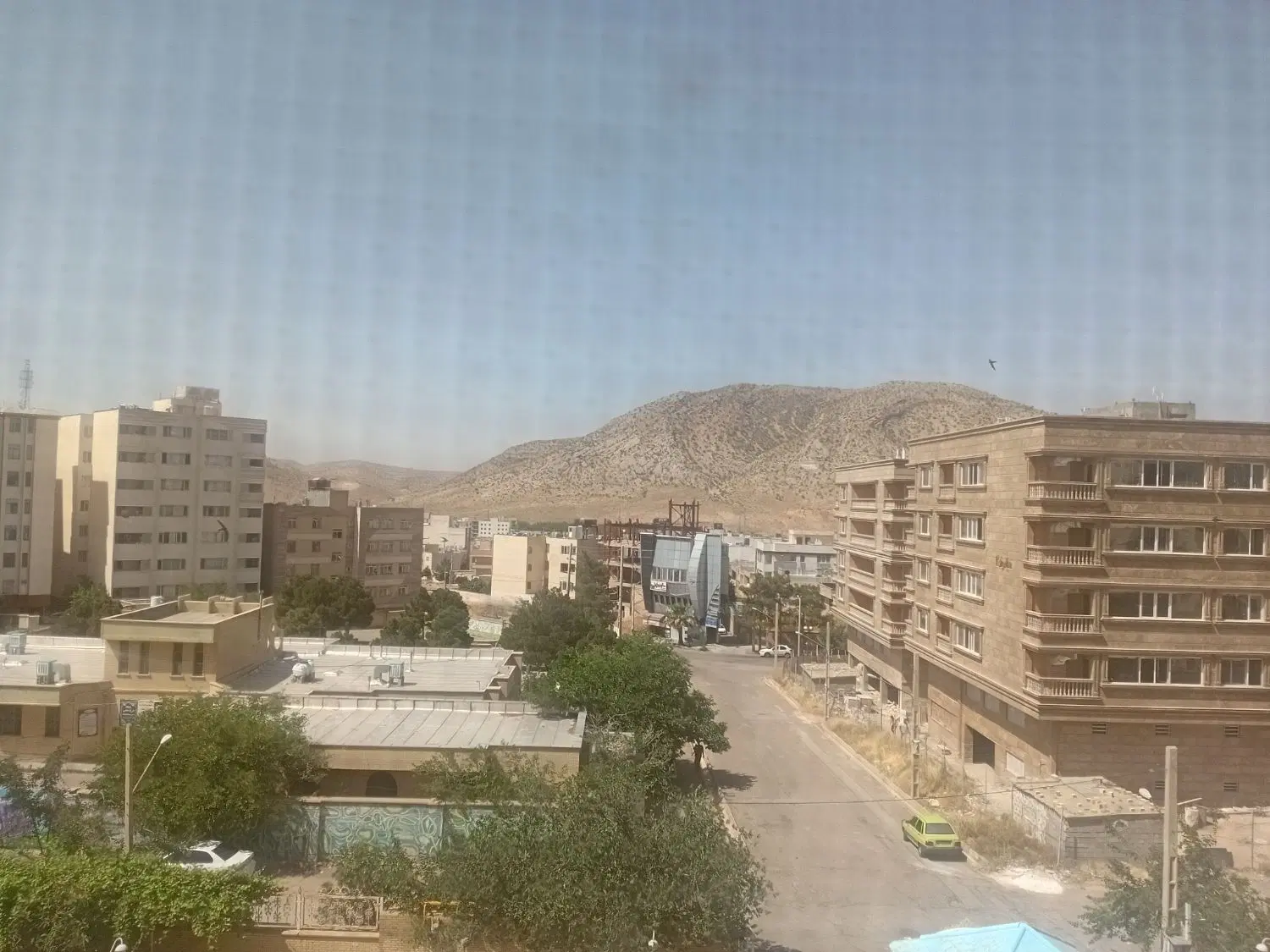 زمین فاز۲ سند تک برگ