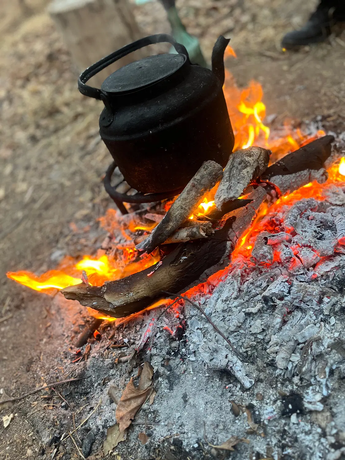 باغ استانه کنار اب