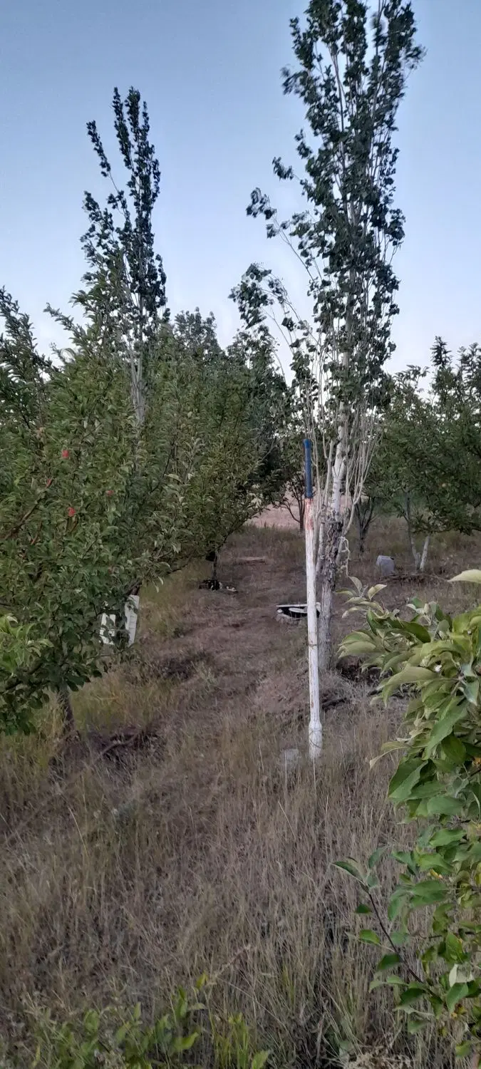 باغ یا زمین خالی باآب ساعتی