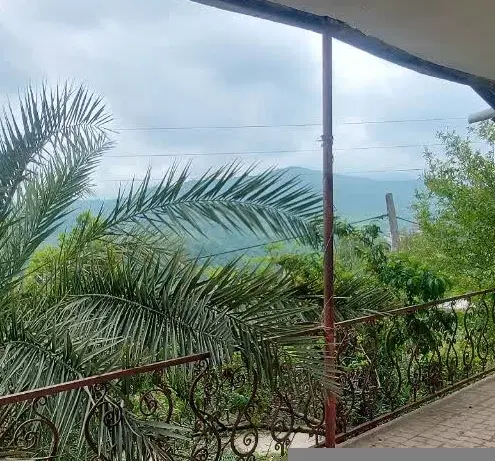 پالوجده خزر ۱۰۰متری