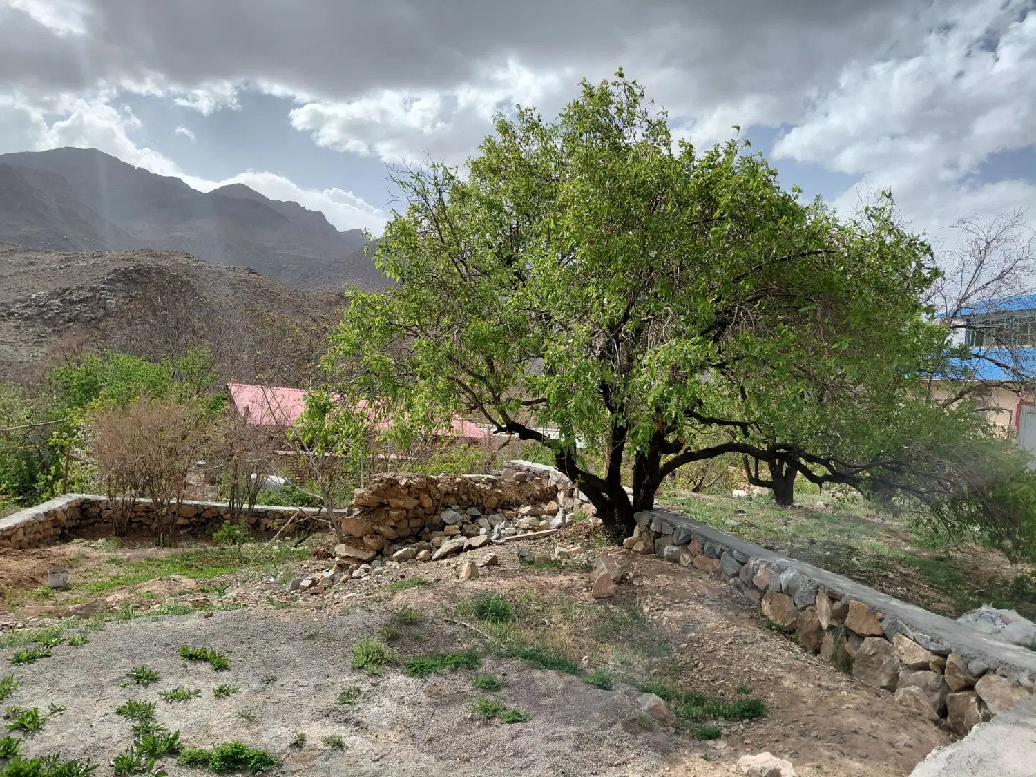 فروش یک قطعه زمین ۱۷۰متری سرسبز