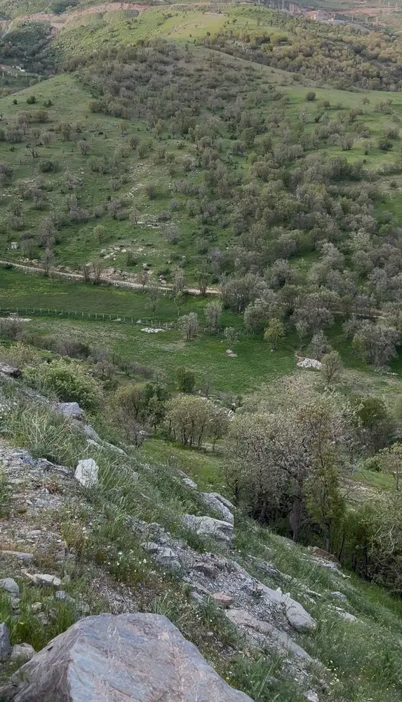 فروش زمین کشاورزی(خام)واقع در قوری چایی