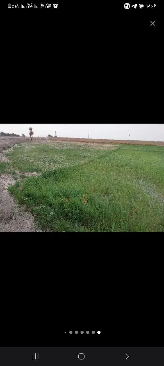 یک قطعه باغ ویلا سریعا بفروش میرسد